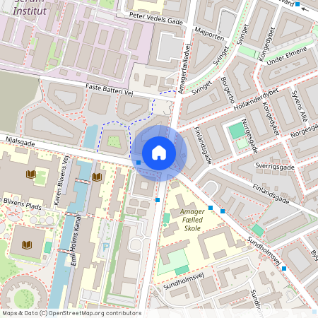 Amagerfælledvej 46, 5. 20., 2300 København S