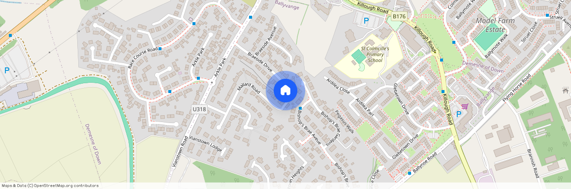 30 Mallard Road, Downpatrick, BT30 6DY