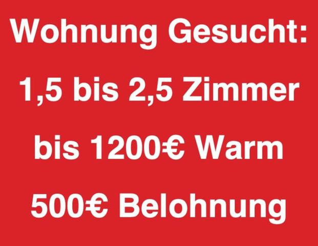 Wohnungsgesuch: 1,5-2,5 Zimmer 1.200 € warm in HH 500€ Belohnung - Foto 1