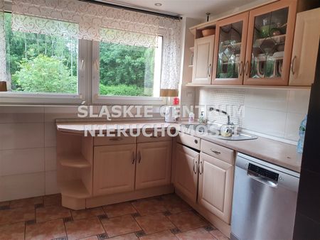 Gołonóg, Storczyków, Dąbrowa Górnicza - Photo 4