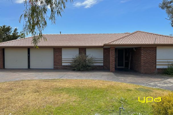 6 Beaumont Court, SYDENHAM - Photo 1