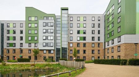 1 bedroom in a flat share to rent - Photo 4