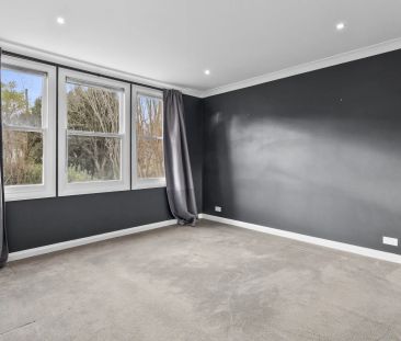 Modern Cottage Retreat in a Quiet Narrabundah Street - Photo 5