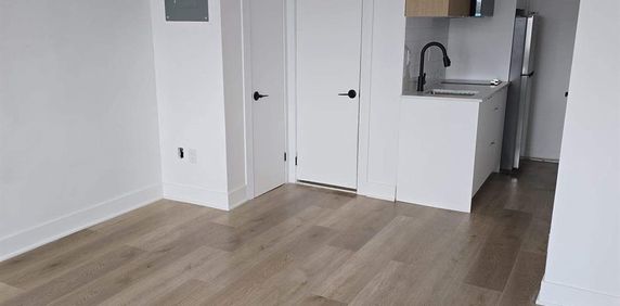 1 CH - 1 SDB - Montréal - $1,190 /mo - Photo 2