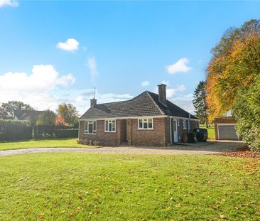 3 bedroom detached bungalow to rent - Photo 6