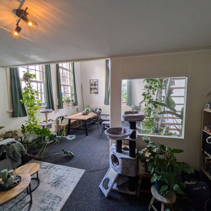 Mooi appartement in een centrum van Delft - Photo 1