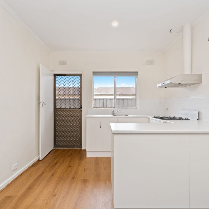 Newly Renovated Unit - Photo 1