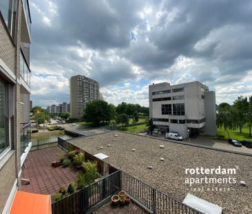 Buizenwerf, Rotterdam - Foto 3