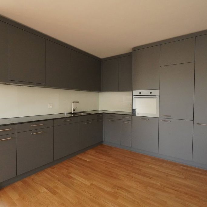 2.5 Zimmer, 61 m², EG - Foto 1