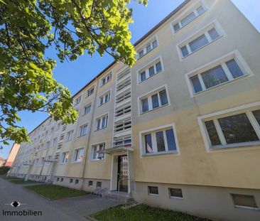 ++ gemütlich wohnen am Hohen Hain – 2-Raum-Wohnung mit Licht, Ruhe ... - Photo 1