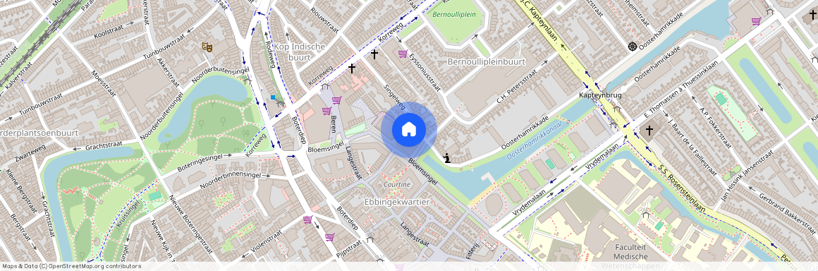 Bloemsingel 175, Professorenbuurt, 9714DS, Groningen