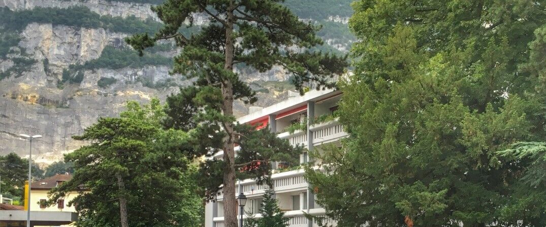 Charmant appartement de 2 pièces au 1er étage - Foto 1