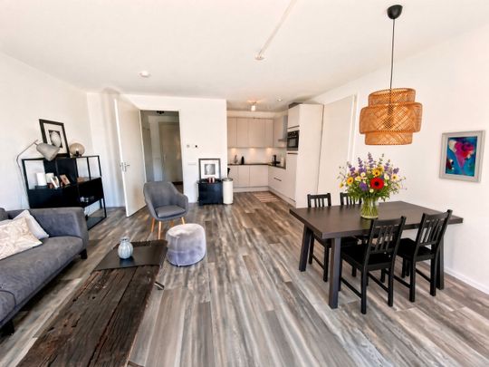 Appartement te huur: Faas Wilkesstraat 113-F 1095 MD Amsterdam - Photo 1