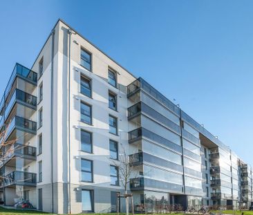 Erster Monat mietfrei: Großzügige 5 Zimmer Wohnung mit Balkon zu ve... - Foto 1