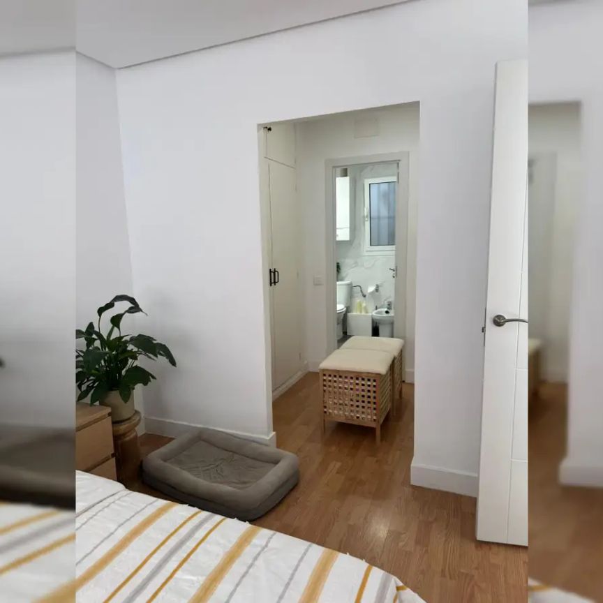 Studio for rent in Cuatro Caminos, pets and smoking allowed - Photo 1