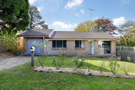 Walk to town - Photo 5