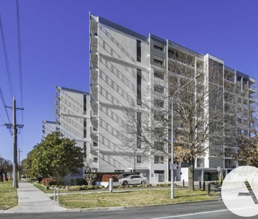 60/1 Mouat Street, Lyneham ACT 2602 - Apartment For Rent | Domain - Photo 6