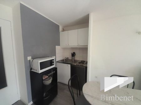 Appartement à louer, 1 pièce - Olivet 45160 - Photo 5