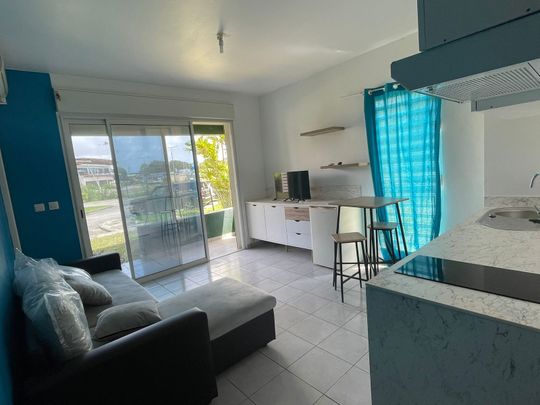 Location Appartement 1 pièce 21m² CAYENNE 97300 - Photo 1