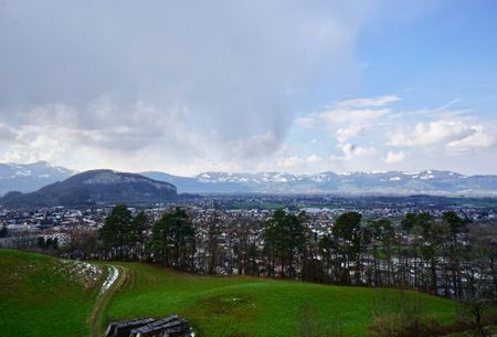 2,5 Zimmer-Wohnung | Ausblick - Foto 4