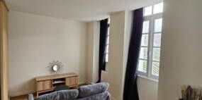 Magnifique logement T1Bis - Centre ville de Nantes - Photo 3