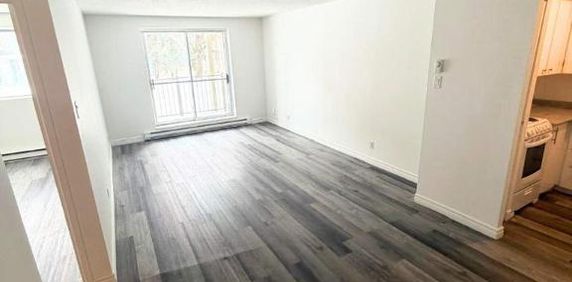 2 CH - 1 SDB - Gatineau - $1,599 /mo - Photo 2