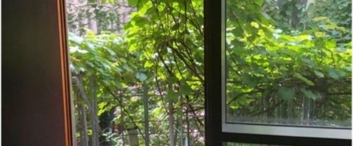 Ruhiger Büroplatz in Autor*innengemeinschaft zu vermieten - Foto 1