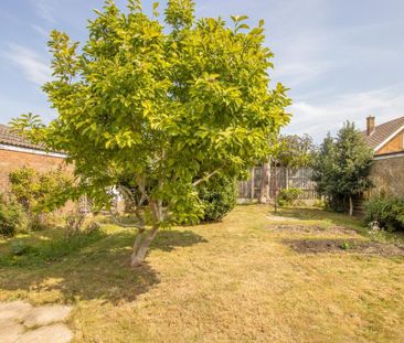 2 bedroom bungalow to rent - Photo 4