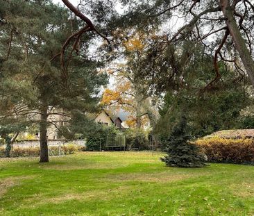 Südwohnung mit Terrasse und Blick in den großen Garten, Ruhiglage, ... - Foto 1