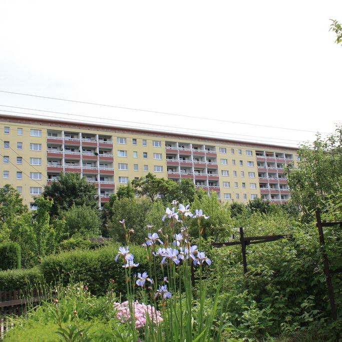 Mit Blick ins Grüne gelegene 2-Raum-Wohnung mit Balkon - Foto 1