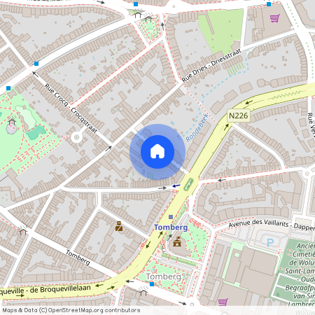 Rue de l'Activite, 19, 1200, Woluwe-Saint-Lambert