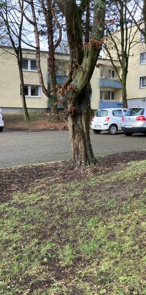 Viel Raum für gute Ideen – ob Tagesmutter, Gesundheitswesen oder Friseur - Photo 1