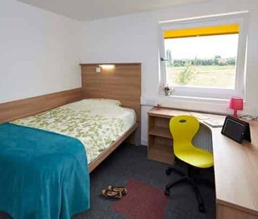 Single Ensuite Premium Rooms - Photo 3