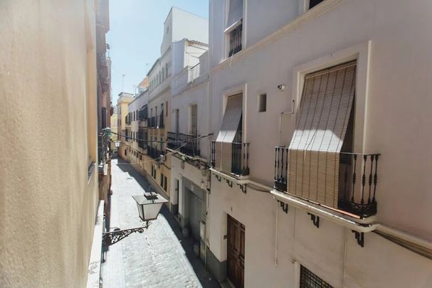 Calle Malhara, Sevilla, Andalusia 41001 - Photo 1