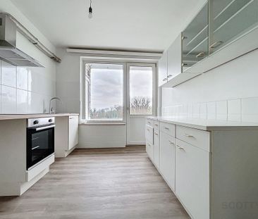 Mooi appartement van 88 m² op de 1e verdieping van een klein gebouw - Photo 4