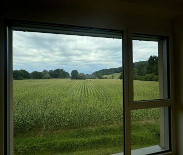 Mietkauf - Großzügige 2-Zimmer-Wohnung mit überdachter Terrasse - Photo 1