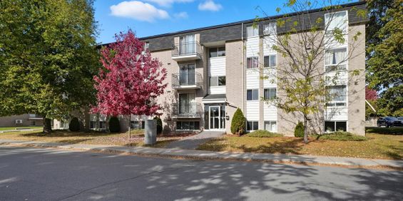 38 Rue D'Orléans (Gatineau) Très Beau Logement 5 1/2 à Louer - Photo 3
