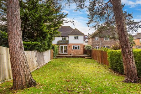 Beech Grove, Guildford, Surrey, GU2 - Photo 4