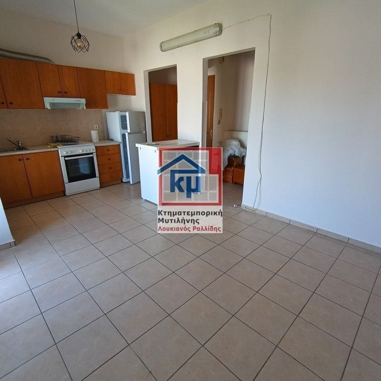 Studio/Γκαρσονιέρα για ενοικίαση Λέσβος - Μυτιλήνη - Φωτογραφία 1