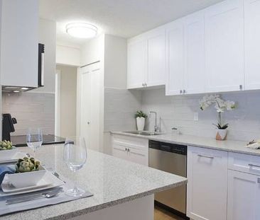 Pet Friendly Apartment in the heart of Maillardville, Coquitlam. - Photo 2