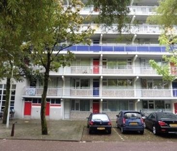 Apartment Leiden - Milanenhorst - Foto 2