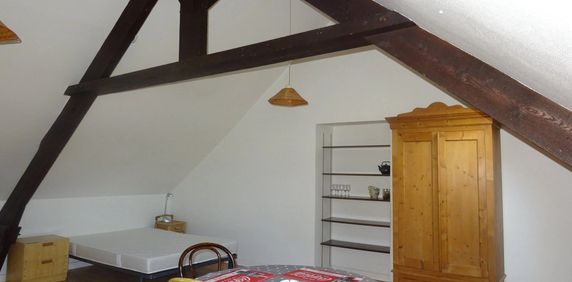 Location Appartement 1 pièce 21m² ST BRIEUC 22000 - Photo 2