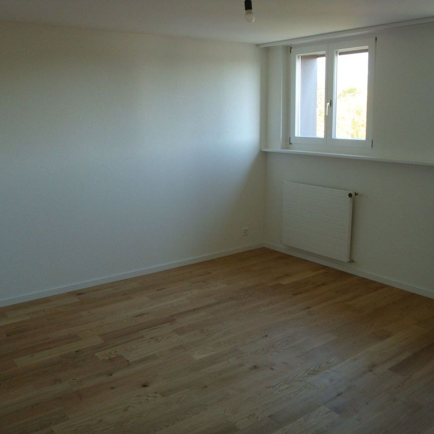 Über den Dächern von Solothurn - Dachwohnung wartet auf neue Mieter - Photo 1