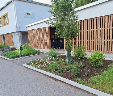 Junges Wohnen in Ziersdorf - Foto 2