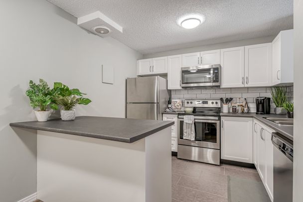C - 2 Bedroom, 2 Bath - Photo 1