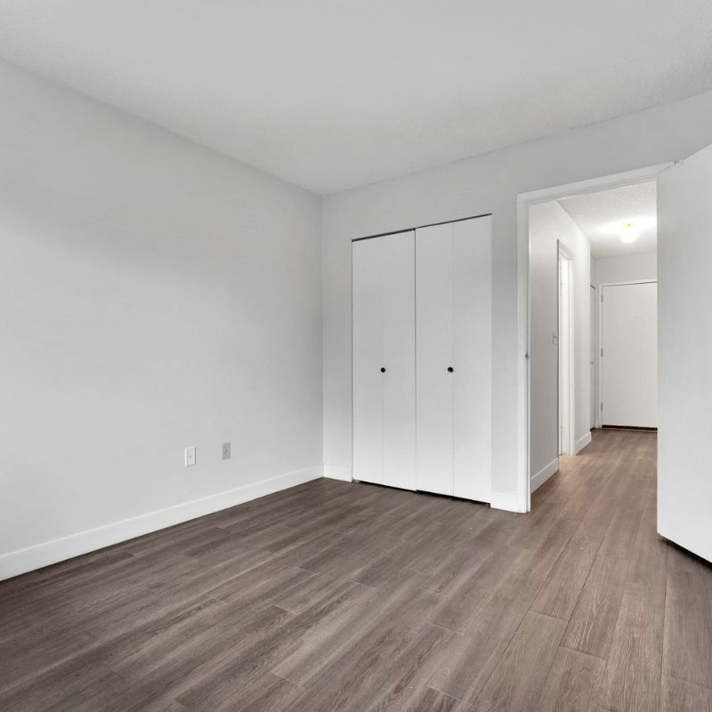 Dolphin Square Apartments - 1 Bedroom - Photo 1
