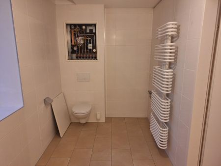 Loft mit großer Terrasse in der Zollamtstraße 7 - Top 25 zu vermieten - Photo 5