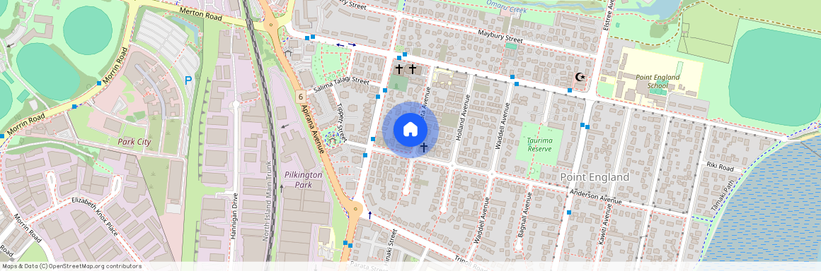 23 Ropata Avenue, Point England, Auckland City