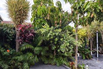 Maspalomas, Canary Islands 35100