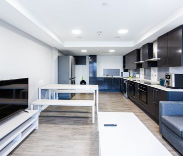 1 Bedroom - Photo 6